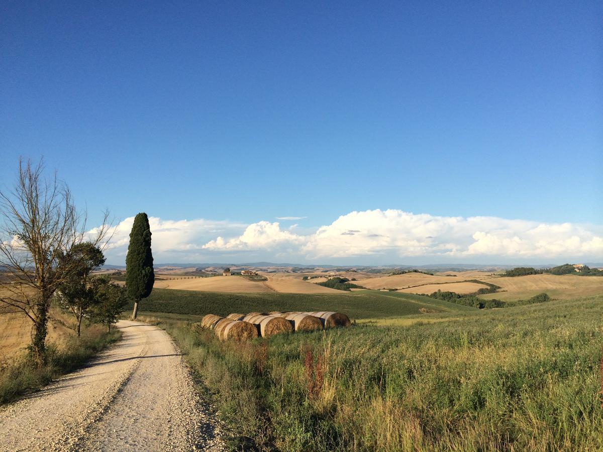 Tenuta Di Corsano Monteroni d'Arbia Eksteriør billede