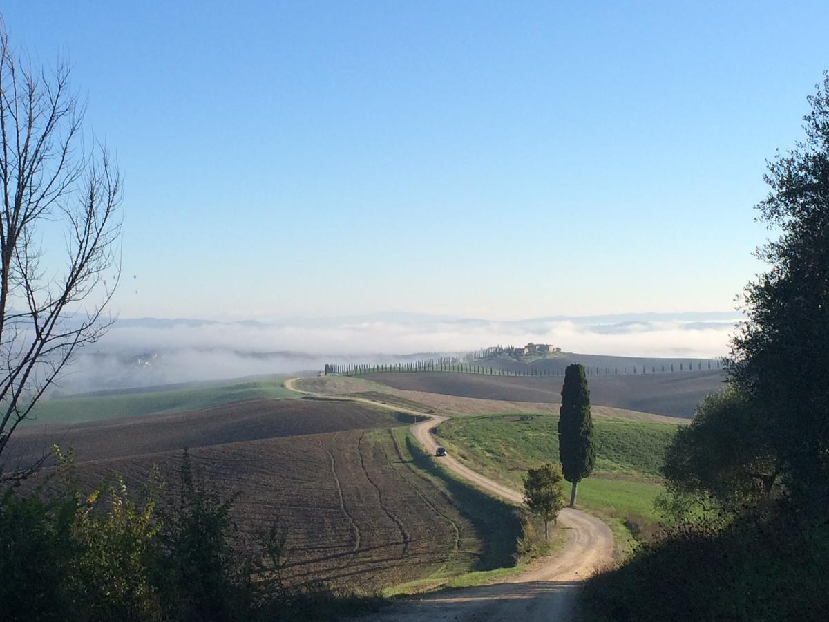 Tenuta Di Corsano Monteroni d'Arbia Eksteriør billede